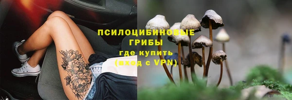 твердый Абаза