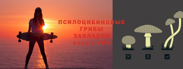 твердый Абаза